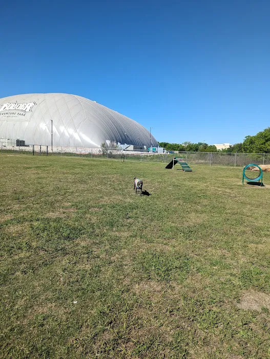 Central Bark Dog Park 3