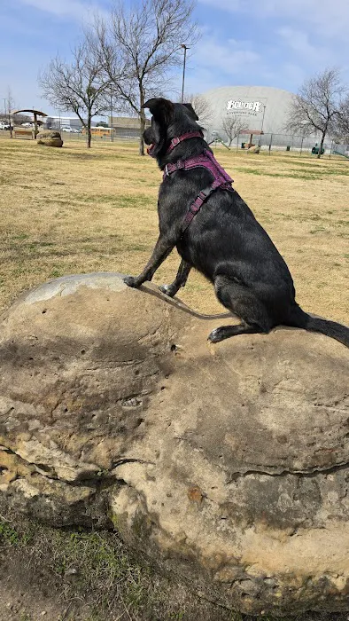 Central Bark Dog Park 1
