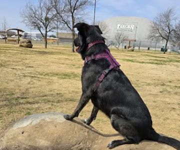 Central Bark Dog Park
