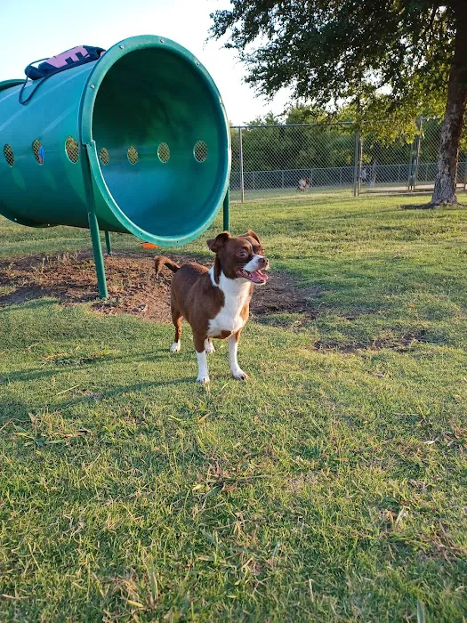 Central Bark Dog Park 7