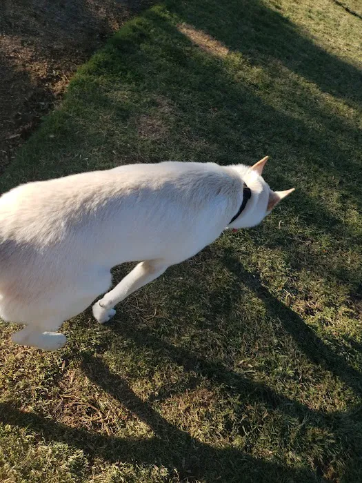 Irving Dog Park 5