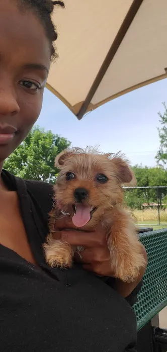 Irving Dog Park 3