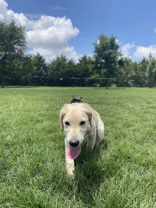 Irving Dog Park 4