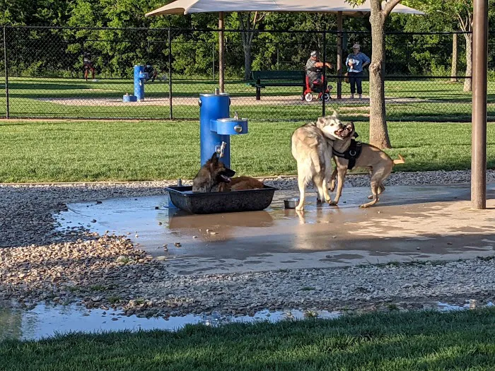 Irving Dog Park 1