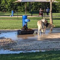 Irving Dog Park ico