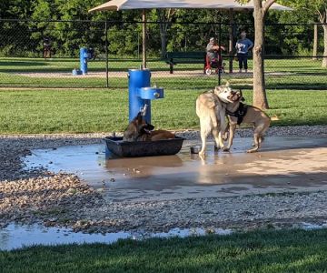 Irving Dog Park