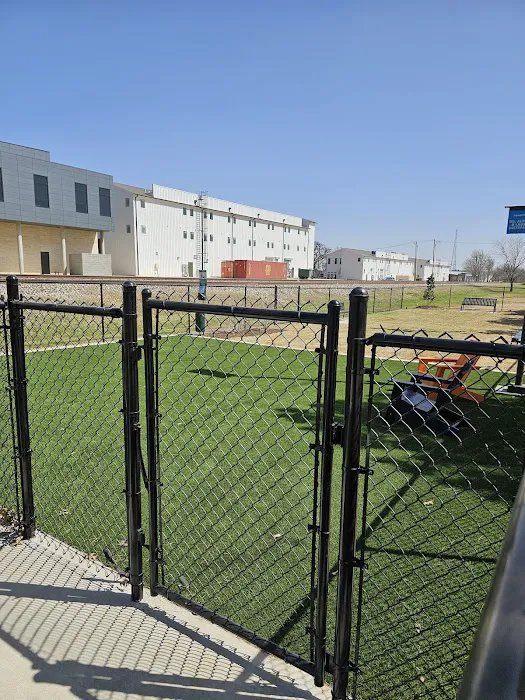 Downtown Arlington Doggie Depot 5