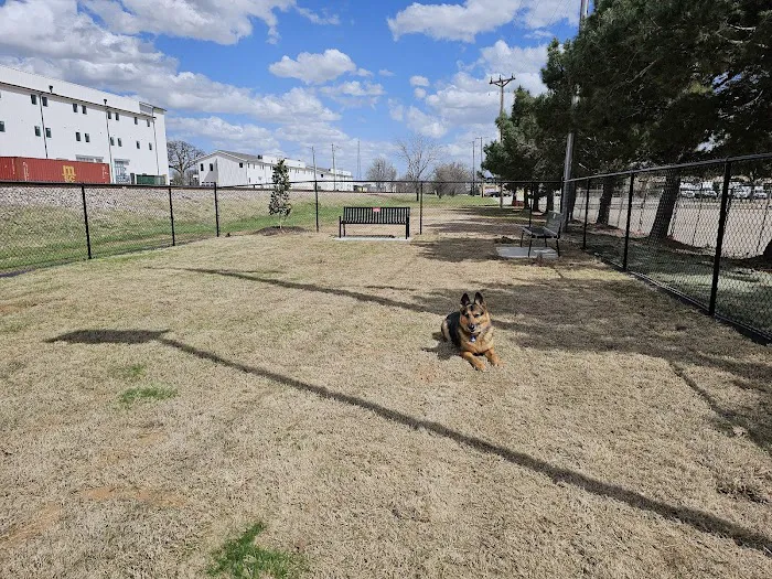 Downtown Arlington Doggie Depot 4