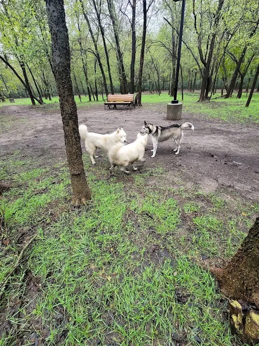 Tails 'N Trails Dog Park 7