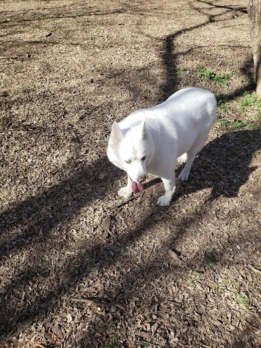 Tails 'N Trails Dog Park 6