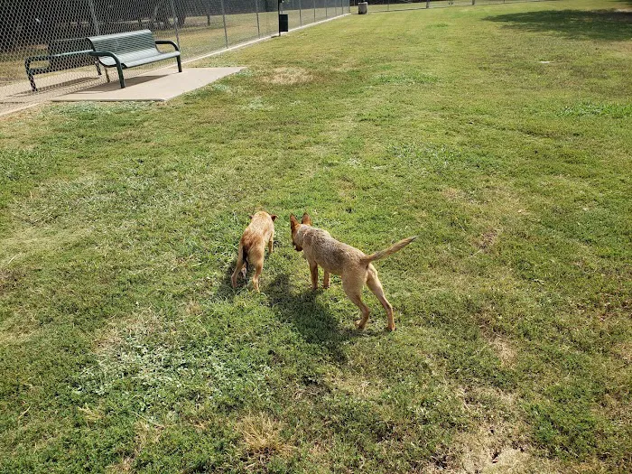 Tails 'N Trails Dog Park 1
