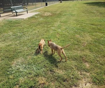 Tails 'N Trails Dog Park