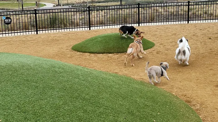 Bacon Dog Park at Cypress Waters 9