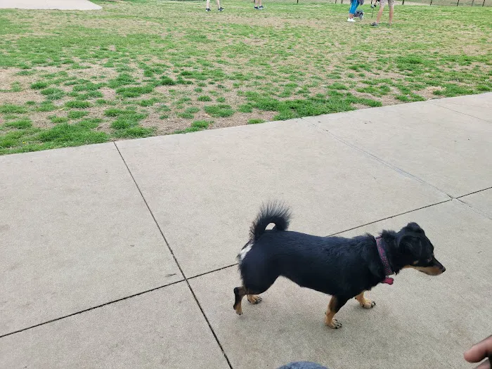 Coppell Dog Park 7