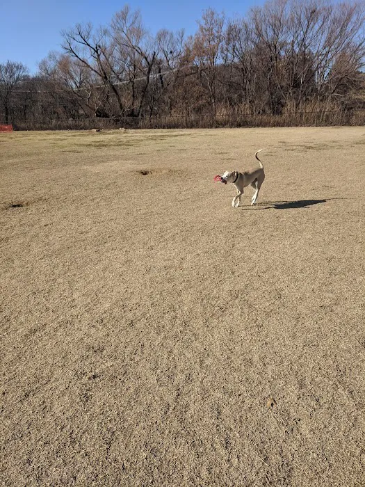 Coppell Dog Park 9