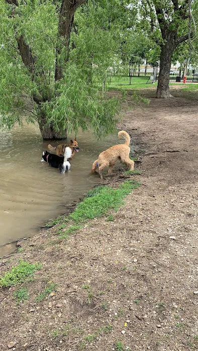 McInnish Dog Park 6
