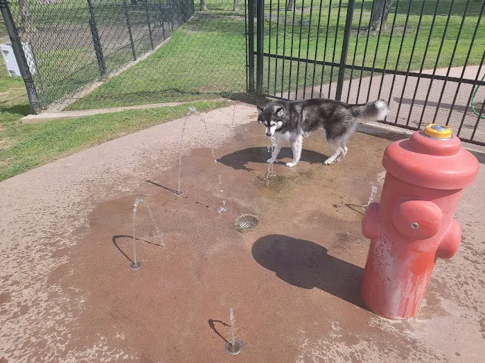 McInnish Dog Park 2