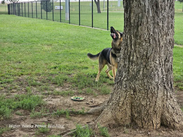 McInnish Dog Park 3