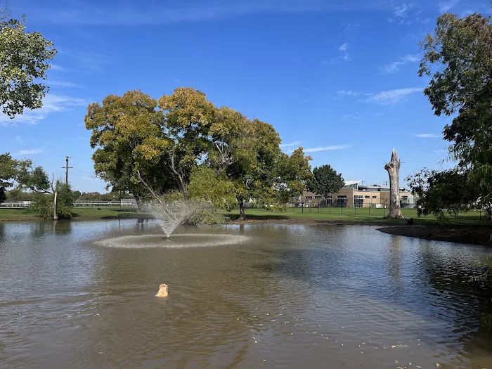 McInnish Dog Park 1