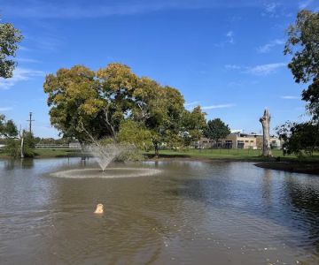 McInnish Dog Park