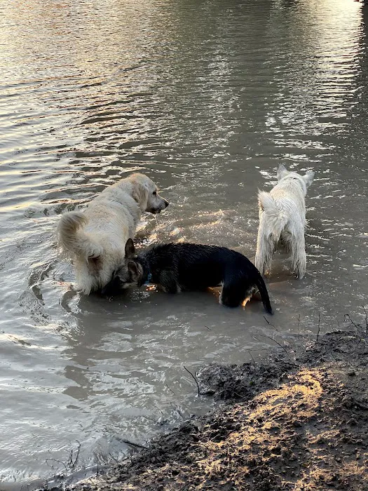 McInnish Dog Park 7