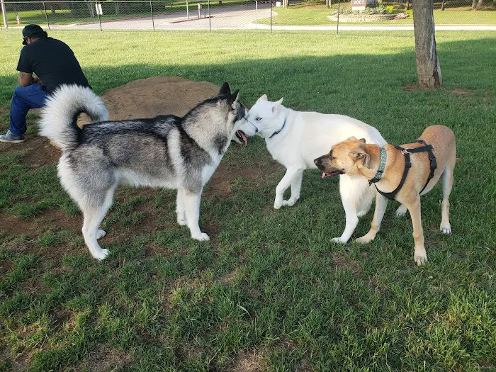 Euless Dog Park 10