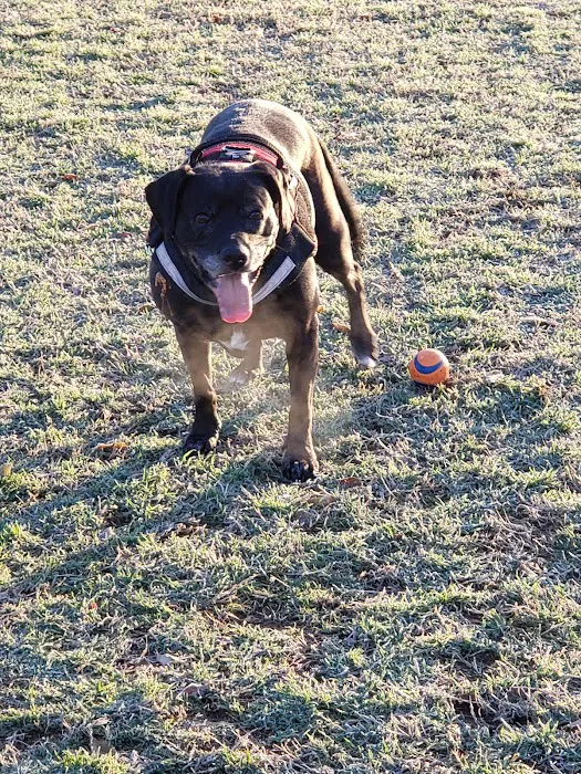 Euless Dog Park 4