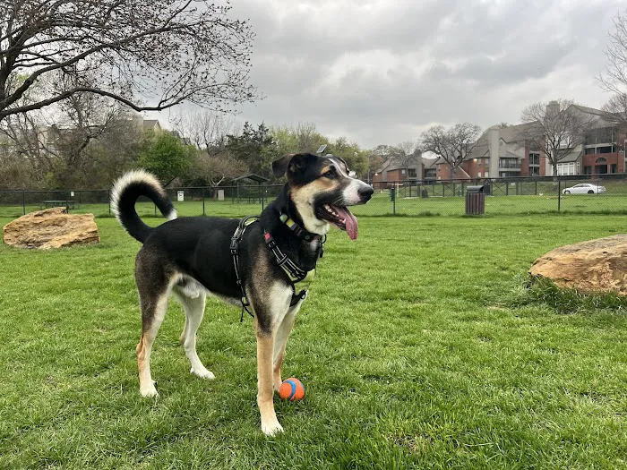Euless Dog Park 7