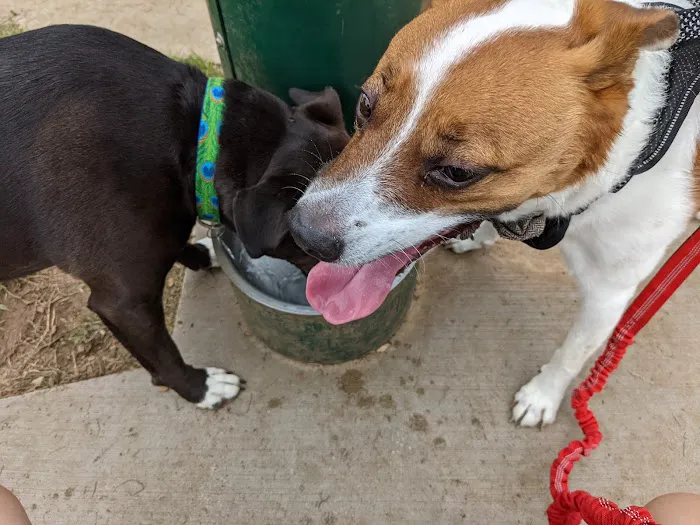 Euless Dog Park 8