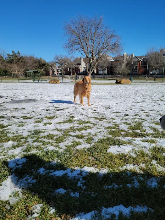 Euless Dog Park, Small Dogs 4