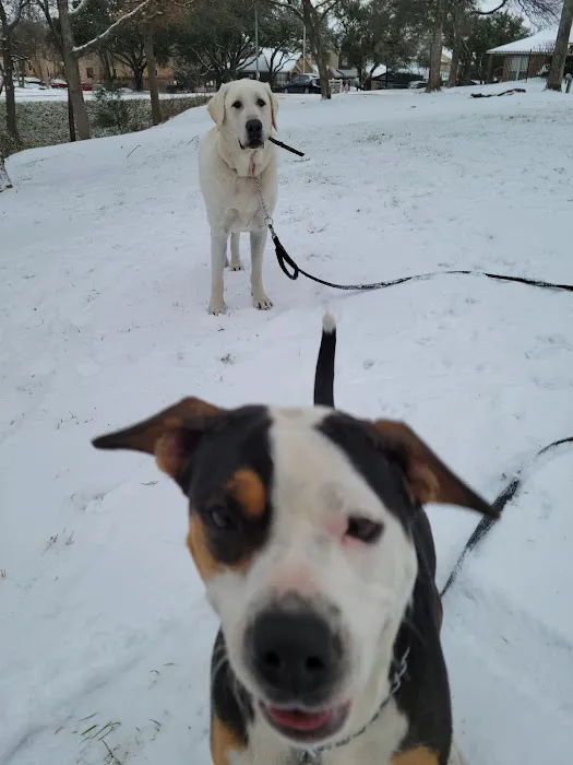 Euless Dog Park, Small Dogs 2