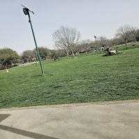Euless Dog Park, Small Dogs ico