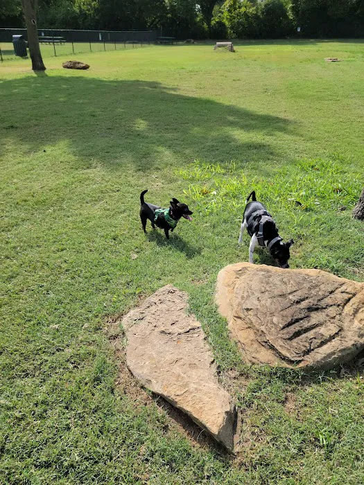 Euless Dog Park, Small Dogs 8