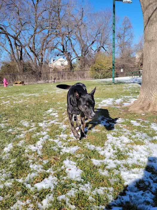 Euless Dog Park, Small Dogs 6