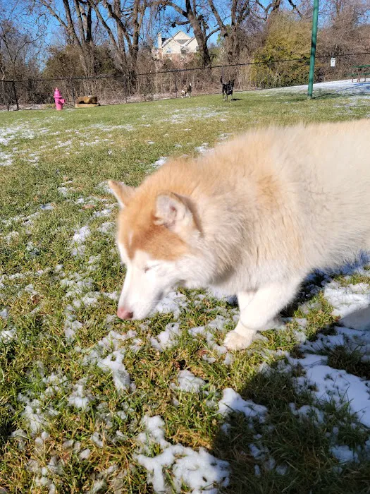 Euless Dog Park, Small Dogs 7