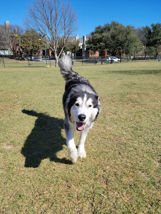 Euless Dog Park, Small Dogs 9