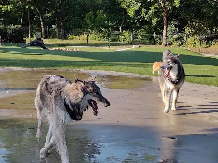 Bark Park at Bear Creek Park 5