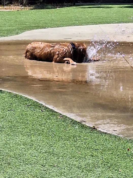 Bark Park at Bear Creek Park 10
