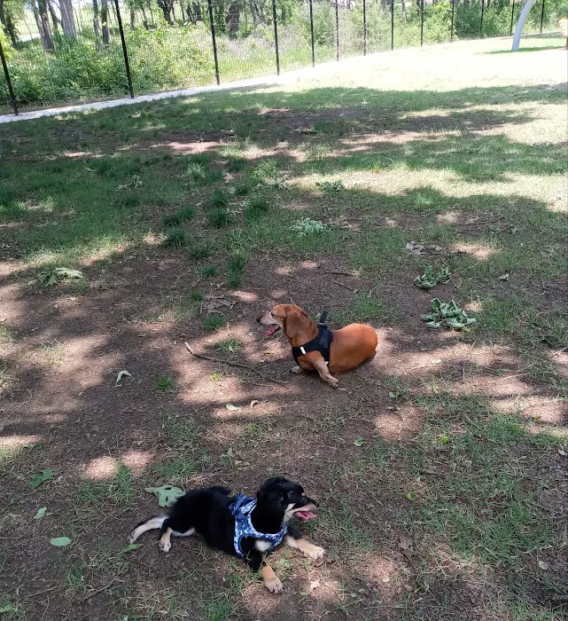 Bark Park at Bear Creek Park 4
