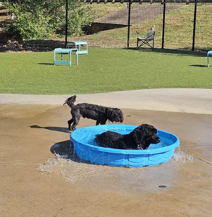 Bark Park at Bear Creek Park 7