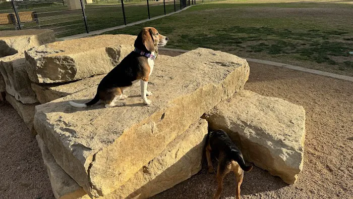 Bush Central Barkway 9