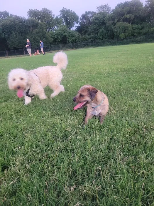 Dog Park | Bob Woodruff 8