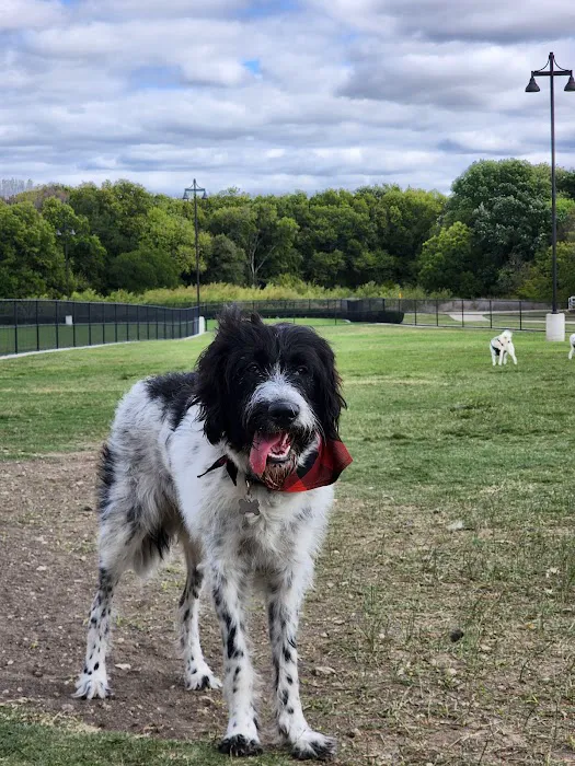 Dog Park | Bob Woodruff 9