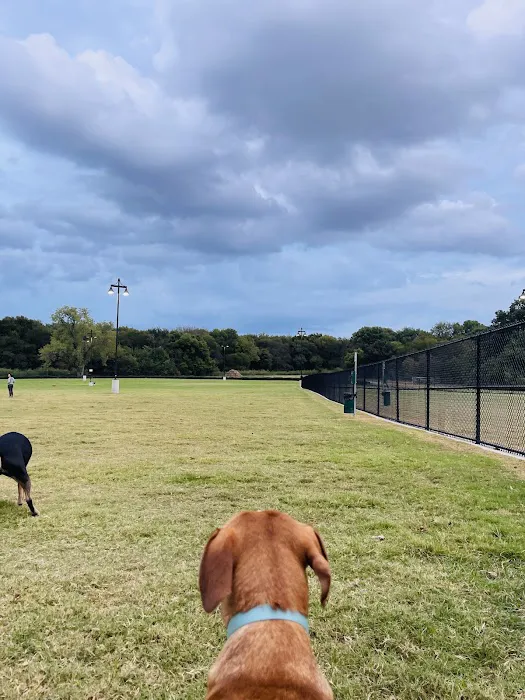 Dog Park | Bob Woodruff 3