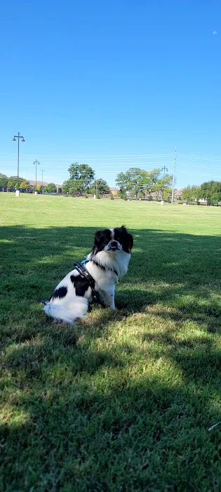 Dog Park | Bob Woodruff 6