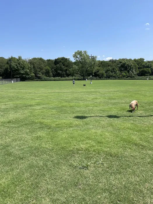 Dog Park | Bob Woodruff 5