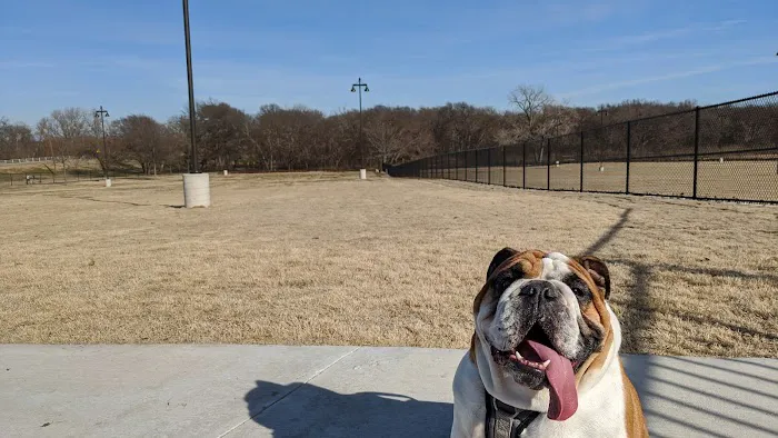 Dog Park | Bob Woodruff 10
