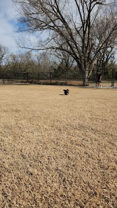 Dog Park | Bob Woodruff 7