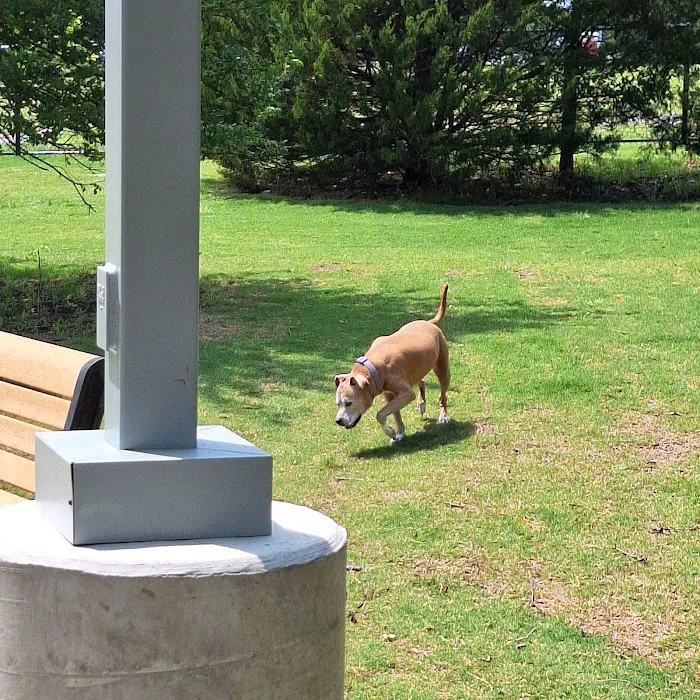 Prairie Tails Dog Park 9