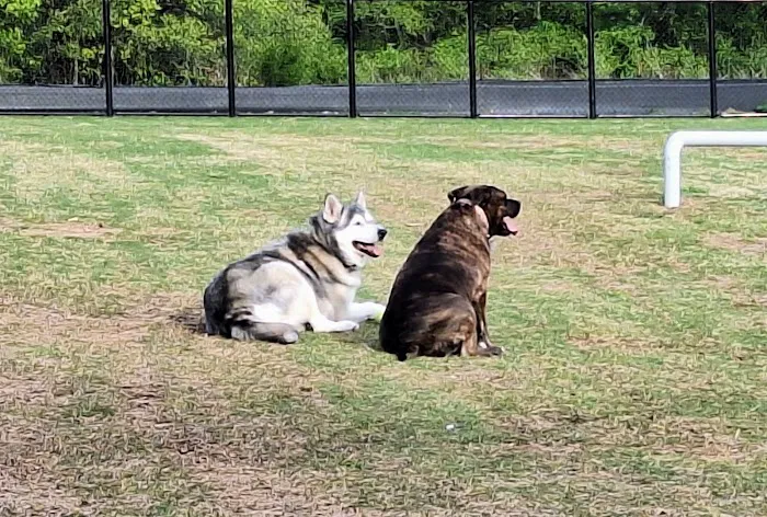 Prairie Tails Dog Park 5